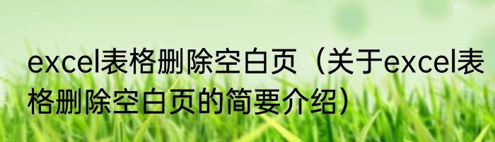 excel表格删除空白页（关于excel表格删除空白页的简要介绍）