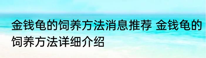 金钱龟的饲养方法消息推荐 金钱龟的饲养方法详细介绍