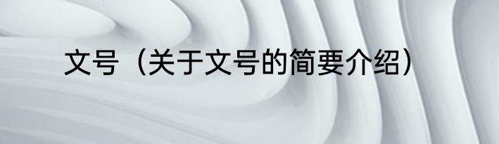 文号（关于文号的简要介绍）