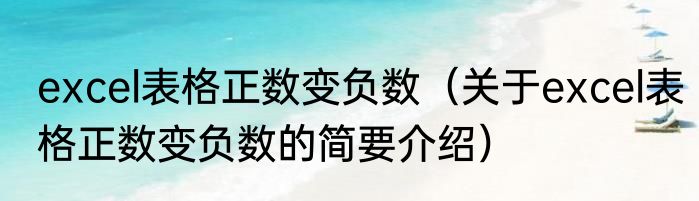 excel表格正数变负数（关于excel表格正数变负数的简要介绍）