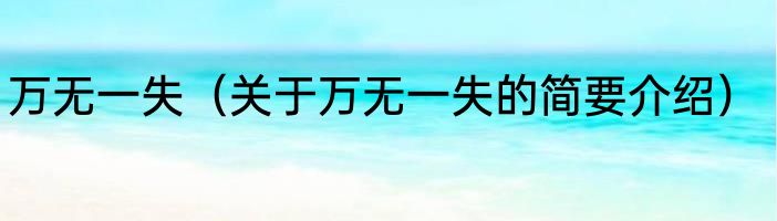 万无一失（关于万无一失的简要介绍）