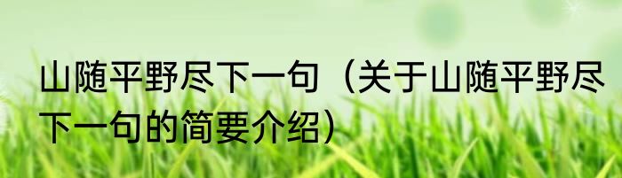 山随平野尽下一句（关于山随平野尽下一句的简要介绍）