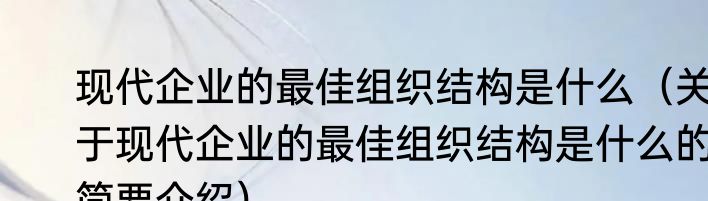 现代企业的最佳组织结构是什么（关于现代企业的最佳组织结构是什么的简要介绍）