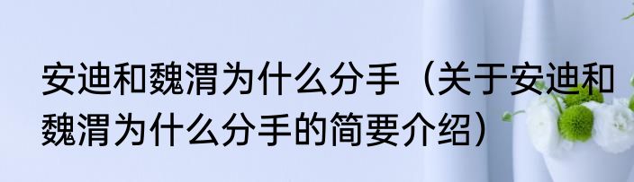 安迪和魏渭为什么分手（关于安迪和魏渭为什么分手的简要介绍）