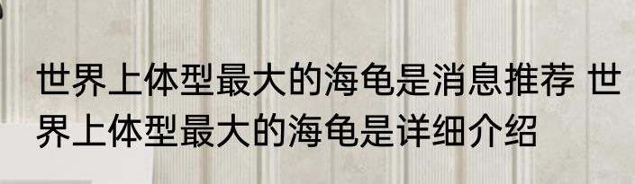 世界上体型最大的海龟是消息推荐 世界上体型最大的海龟是详细介绍