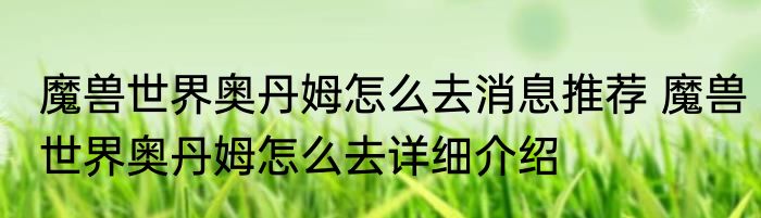 魔兽世界奥丹姆怎么去消息推荐 魔兽世界奥丹姆怎么去详细介绍