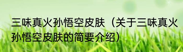 三味真火孙悟空皮肤（关于三味真火孙悟空皮肤的简要介绍）