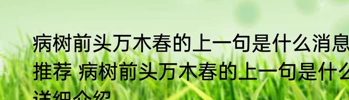 病树前头万木春的上一句是什么消息推荐 病树前头万木春的上一句是什么详细介绍