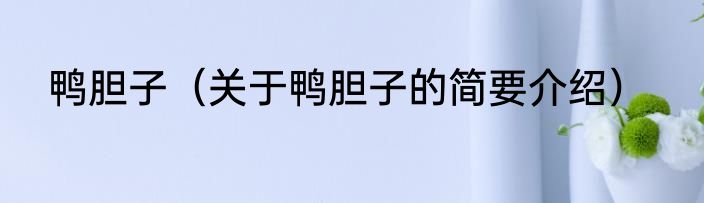 鸭胆子（关于鸭胆子的简要介绍）