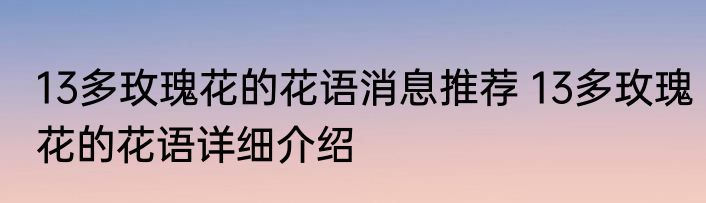 13多玫瑰花的花语消息推荐 13多玫瑰花的花语详细介绍