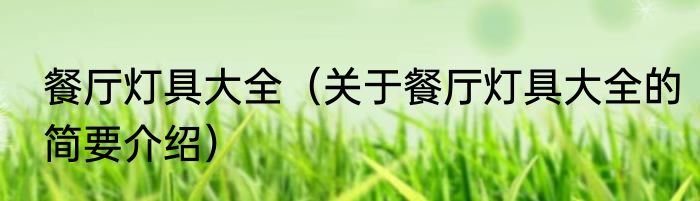 餐厅灯具大全（关于餐厅灯具大全的简要介绍）