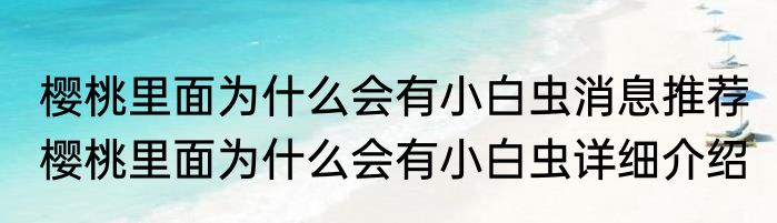 樱桃里面为什么会有小白虫消息推荐 樱桃里面为什么会有小白虫详细介绍