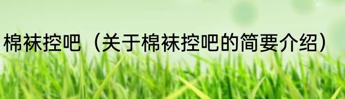 棉袜控吧（关于棉袜控吧的简要介绍）