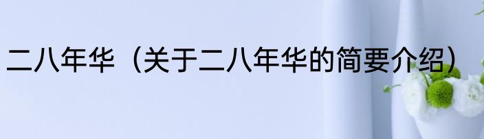 二八年华（关于二八年华的简要介绍）