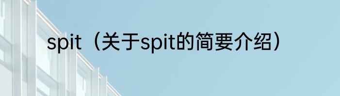 spit（关于spit的简要介绍）