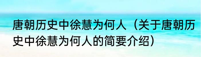 唐朝历史中徐慧为何人（关于唐朝历史中徐慧为何人的简要介绍）