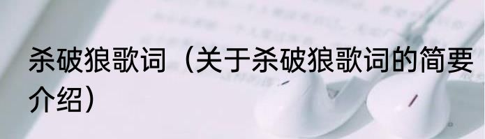 杀破狼歌词（关于杀破狼歌词的简要介绍）