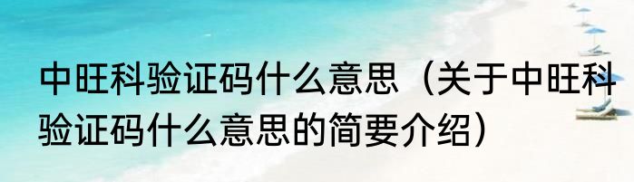 中旺科验证码什么意思（关于中旺科验证码什么意思的简要介绍）