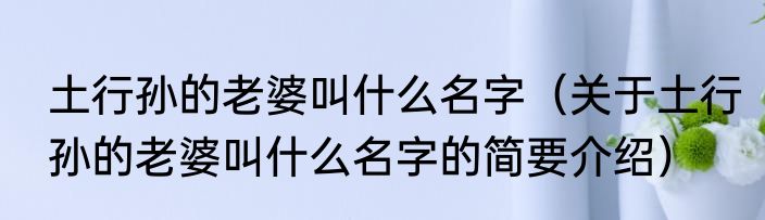 土行孙的老婆叫什么名字（关于土行孙的老婆叫什么名字的简要介绍）