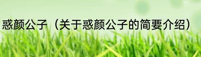 惑颜公子（关于惑颜公子的简要介绍）