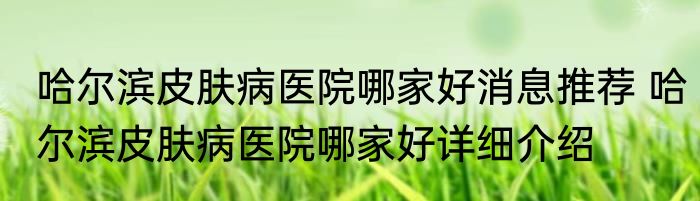 哈尔滨皮肤病医院哪家好消息推荐 哈尔滨皮肤病医院哪家好详细介绍