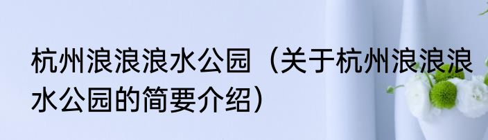 杭州浪浪浪水公园（关于杭州浪浪浪水公园的简要介绍）