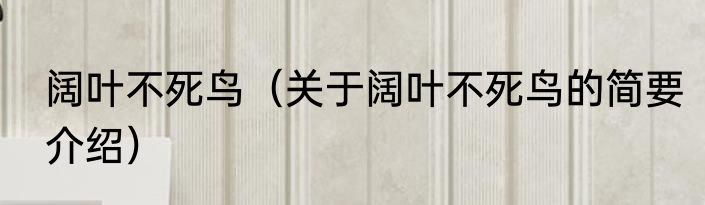 阔叶不死鸟（关于阔叶不死鸟的简要介绍）