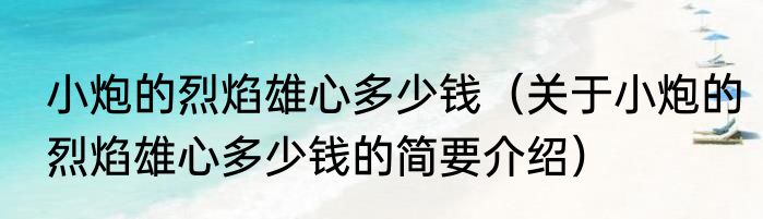 小炮的烈焰雄心多少钱（关于小炮的烈焰雄心多少钱的简要介绍）