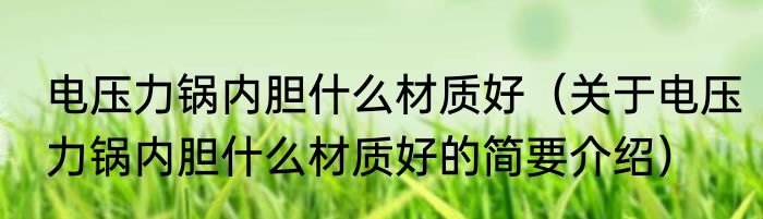 电压力锅内胆什么材质好（关于电压力锅内胆什么材质好的简要介绍）