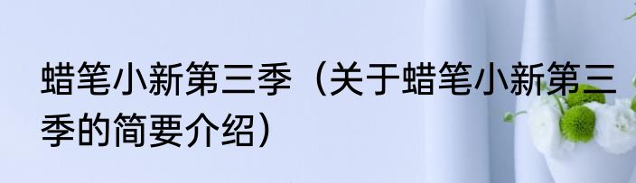 蜡笔小新第三季（关于蜡笔小新第三季的简要介绍）