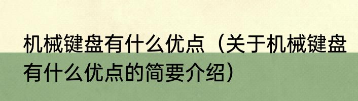 机械键盘有什么优点（关于机械键盘有什么优点的简要介绍）