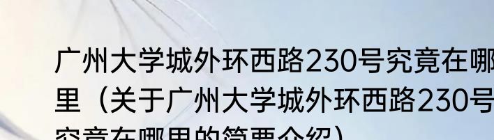 广州大学城外环西路230号究竟在哪里（关于广州大学城外环西路230号究竟在哪里的简要介绍）