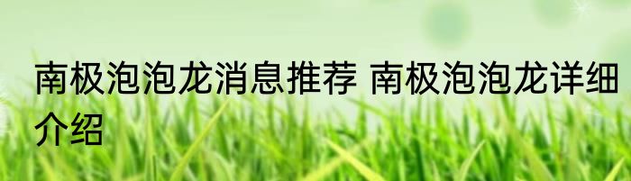 南极泡泡龙消息推荐 南极泡泡龙详细介绍