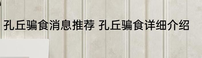 孔丘骗食消息推荐 孔丘骗食详细介绍