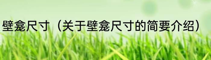 壁龛尺寸（关于壁龛尺寸的简要介绍）