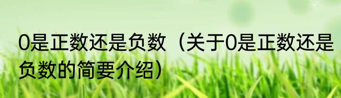 0是正数还是负数（关于0是正数还是负数的简要介绍）
