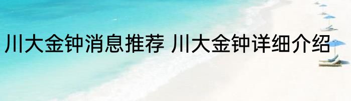 川大金钟消息推荐 川大金钟详细介绍