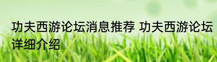 功夫西游论坛消息推荐 功夫西游论坛详细介绍