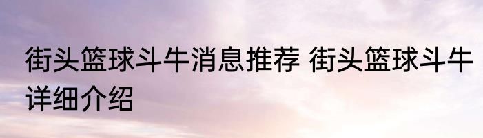 街头篮球斗牛消息推荐 街头篮球斗牛详细介绍