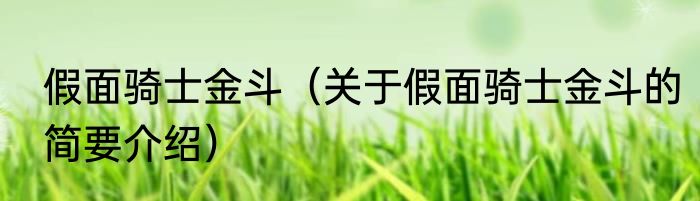 假面骑士金斗（关于假面骑士金斗的简要介绍）
