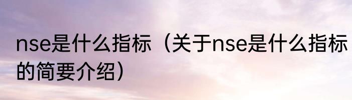 nse是什么指标（关于nse是什么指标的简要介绍）