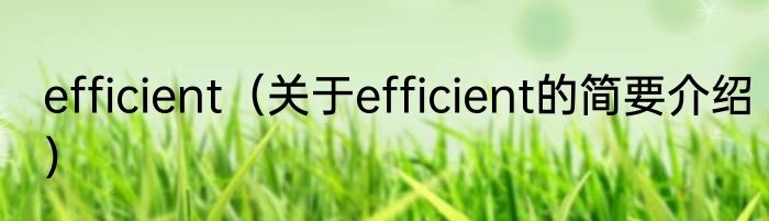 efficient（关于efficient的简要介绍）