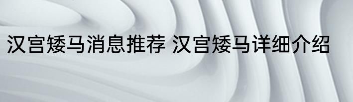汉宫矮马消息推荐 汉宫矮马详细介绍