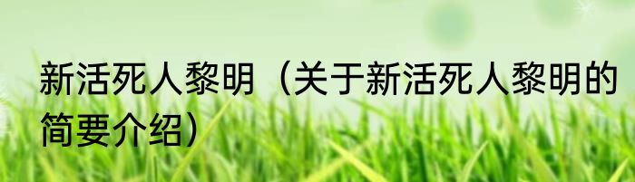 新活死人黎明（关于新活死人黎明的简要介绍）