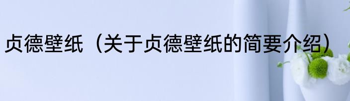 贞德壁纸（关于贞德壁纸的简要介绍）