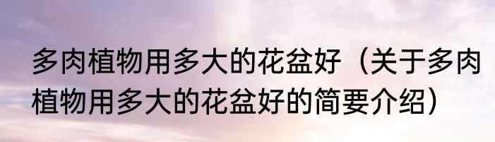 多肉植物用多大的花盆好（关于多肉植物用多大的花盆好的简要介绍）