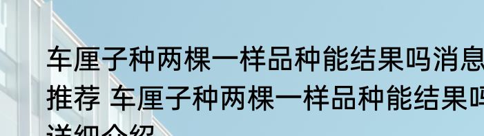 车厘子种两棵一样品种能结果吗消息推荐 车厘子种两棵一样品种能结果吗详细介绍