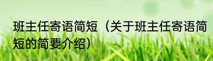 班主任寄语简短（关于班主任寄语简短的简要介绍）