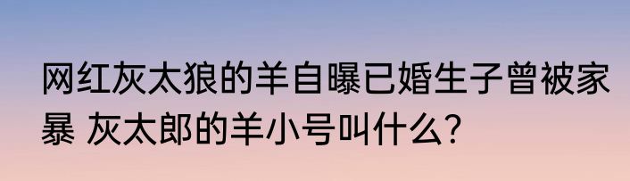 网红灰太狼的羊自曝已婚生子曾被家暴 灰太郎的羊小号叫什么？