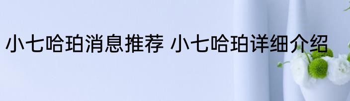 小七哈珀消息推荐 小七哈珀详细介绍